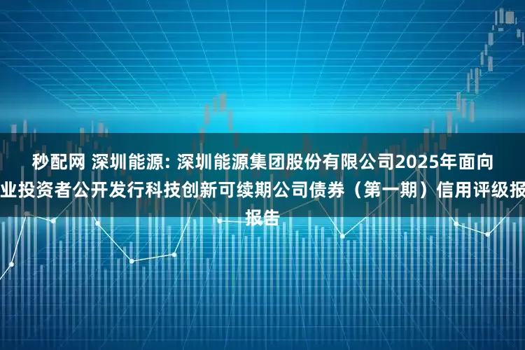 秒配网 深圳能源: 深圳能源集团股份有限公司2025年面向专业投资者公开发行科技创新可续期公司债券（第一期）信用评级报告